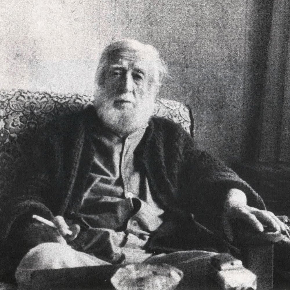 Abdülbaki Gölpınarlı portre fotoğrafı
